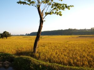 Village at Kathmandu outskirsts